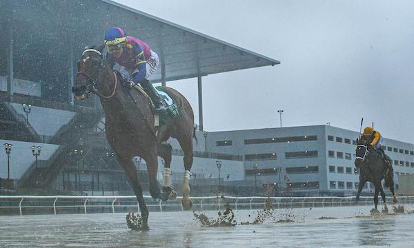 Just F Y I, Frizette Stakes, George Krikorian, Junior Alvarado, Boll Mott, Belmont at the Big A, Eclipse Sportswire